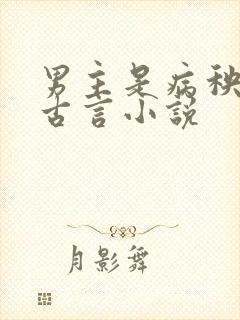 男主是病秧子的古言小说