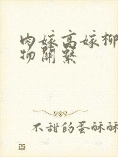 肉嫁高嫁柳家人物关系