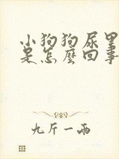 小狗狗尿里有血是怎么回事