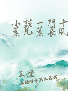小说一门十忠烈叶凡叶长风全集