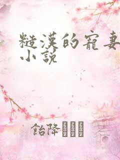 糙汉的宠妻日常小说