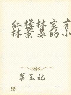 红楼林家有嫡子林景晏的小说