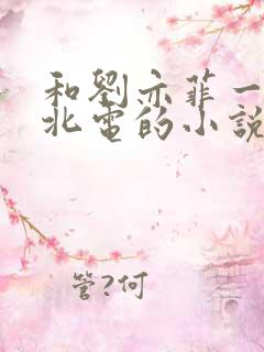 和刘亦菲一起进北电的小说