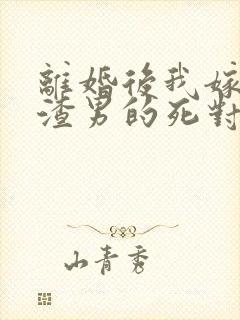 离婚后我嫁给了渣男的死对头