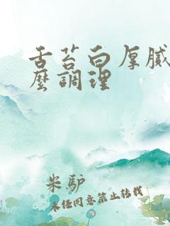 舌苔白厚腻黄怎么调理