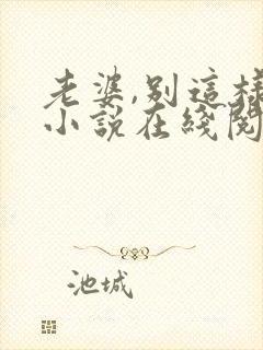 老婆,别这样 小说在线阅读