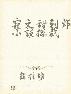 宠文甜到炸无虐小说总裁