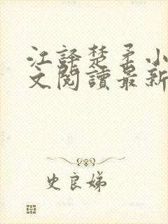 江译楚柔小说全文阅读最新章节列表