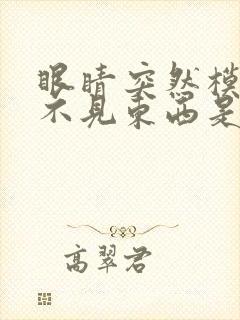 眼睛突然模糊看不见东西是怎么回事