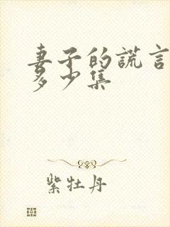 妻子的谎言一共多少集