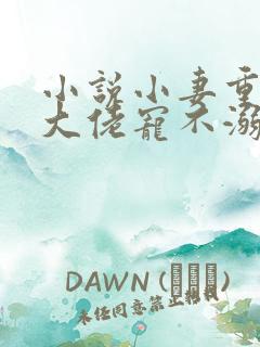 小说小妻重生:大佬宠不溺