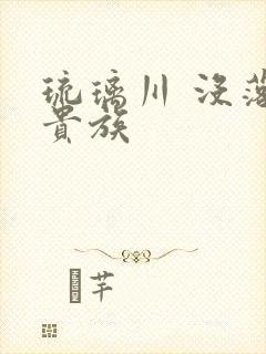 琉璃川 没落的贵族