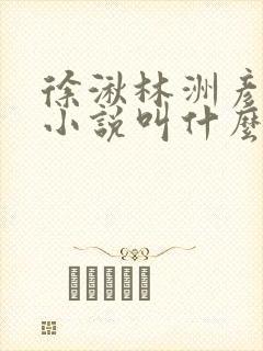徐湫林洲彦原著小说叫什么
