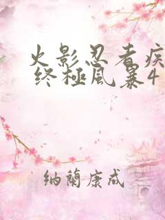 火影忍者疾风传 终极风暴4 博人传