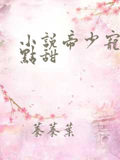 小说帝少宠妻有点甜