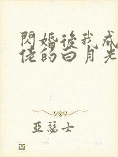 闪婚后我成了大佬的白月光