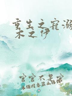 重生之宠溺男妻 木之伊