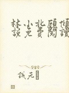 林小北顾倾城小说免费阅读最新章节