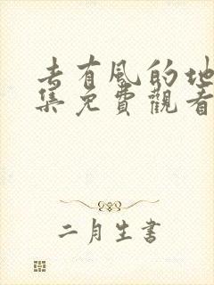 去有风的地方全集免费观看电视剧