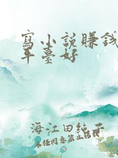 写小说赚钱哪个平台好