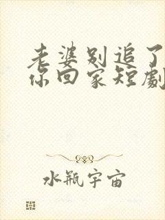 老婆别追了我跟你回家短剧演员介绍