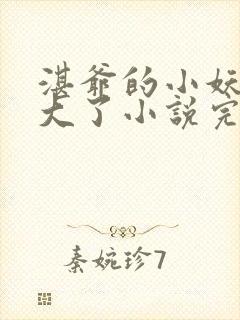 湛爷的小妖精长大了小说完整免费