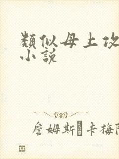 类似母上攻略的小说