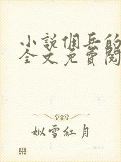 小说佣兵的战争全文免费阅读