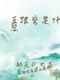 直跟弯是什么意思