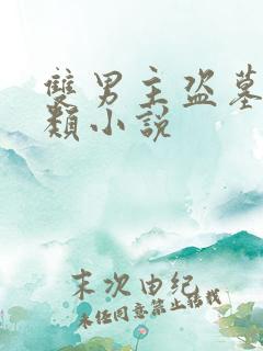 双男主盗墓探险类小说