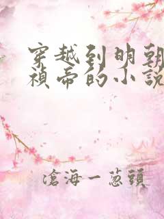 穿越到明朝做崇祯帝的小说叫什么