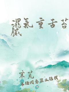 湿气重舌苔白厚腻