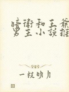 暗卫和王爷的双男主小说推荐