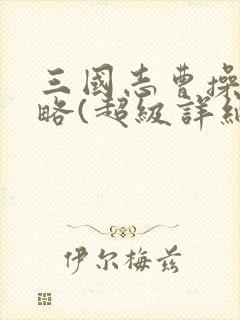 三国志曹操传攻略(超级详细)