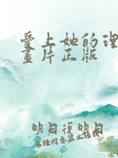 爱上她的理由动画片正版