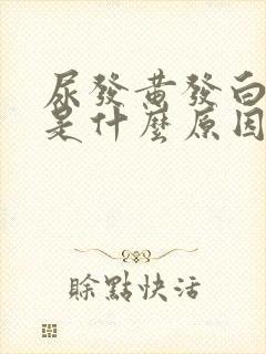 尿发黄发白浑浊是什么原因引起的