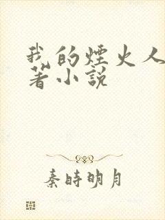 我的烟火人间原著小说