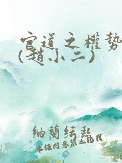 官道之权势滔天(赵小二)