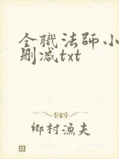 全职法师小说无删减txt