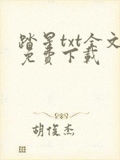 踏星txt全文免费下载