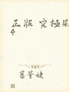 正版 究极风暴4