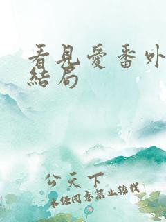 看见爱番外篇大结局