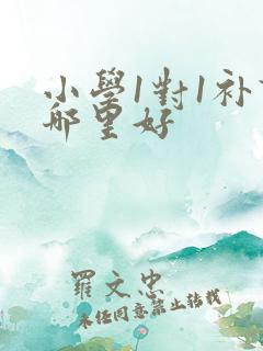 小学1对1补课哪里好