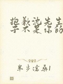 抱歉沈先生这孩子不是你的短剧免费观看