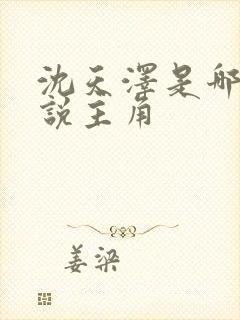 沈天泽是哪本小说主角