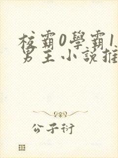 校霸0学霸1双男主小说推荐