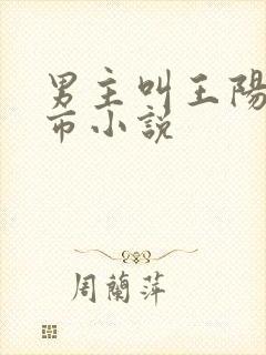 男主叫王阳的都市小说