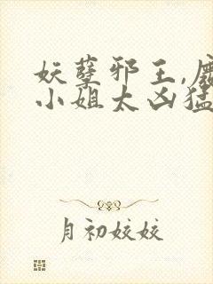 妖孽邪王,废材小姐太凶猛原著作者