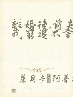 离婚后,前夫对我穷追不舍在线全文阅读