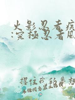 火影忍者疾风传:究极忍者风暴2